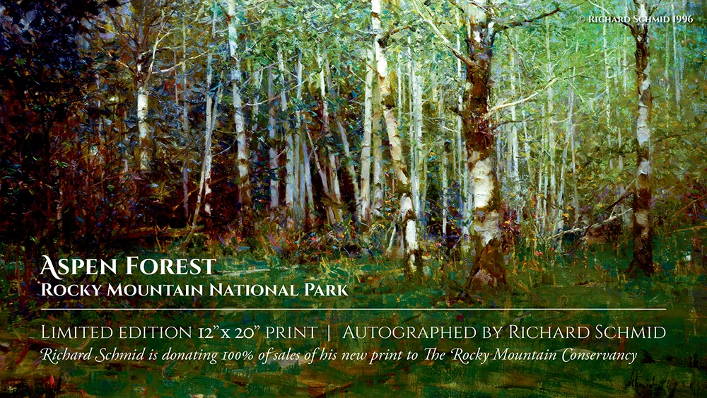 ASPEN FOREST